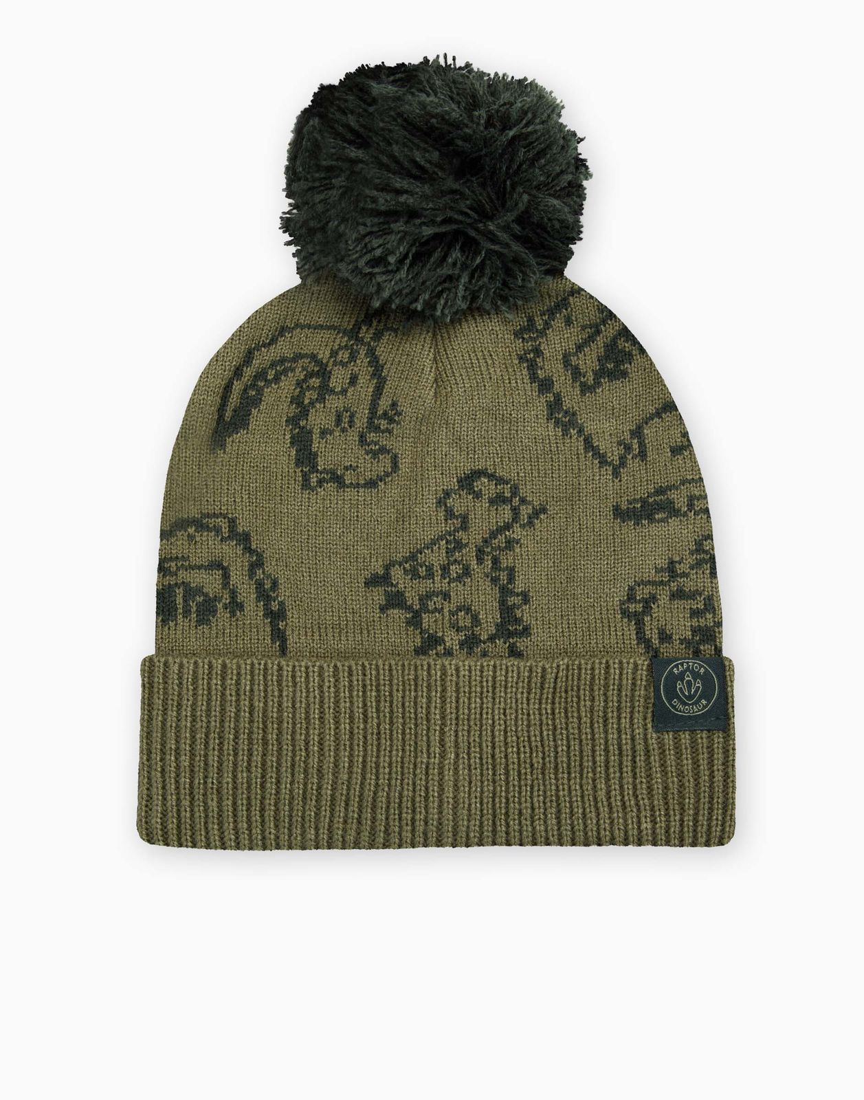 Шапка для мальчика Gloria Jeans BAS005669 зеленый 1-3г 799₽