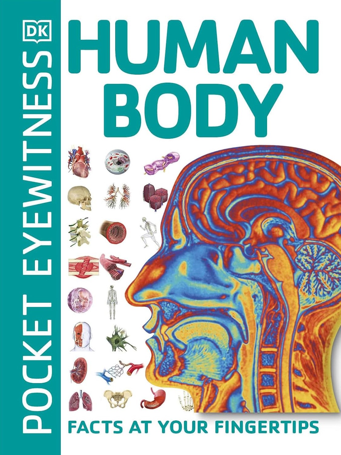

Human Body. Facts at Your Fingertips