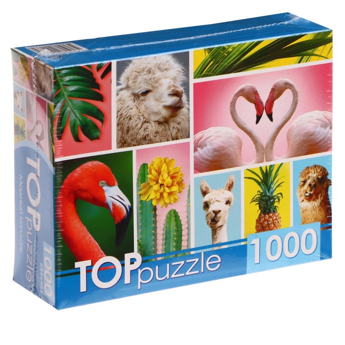 

Пазл «Модный коллаж», 1000 элементов, TOPpuzzle