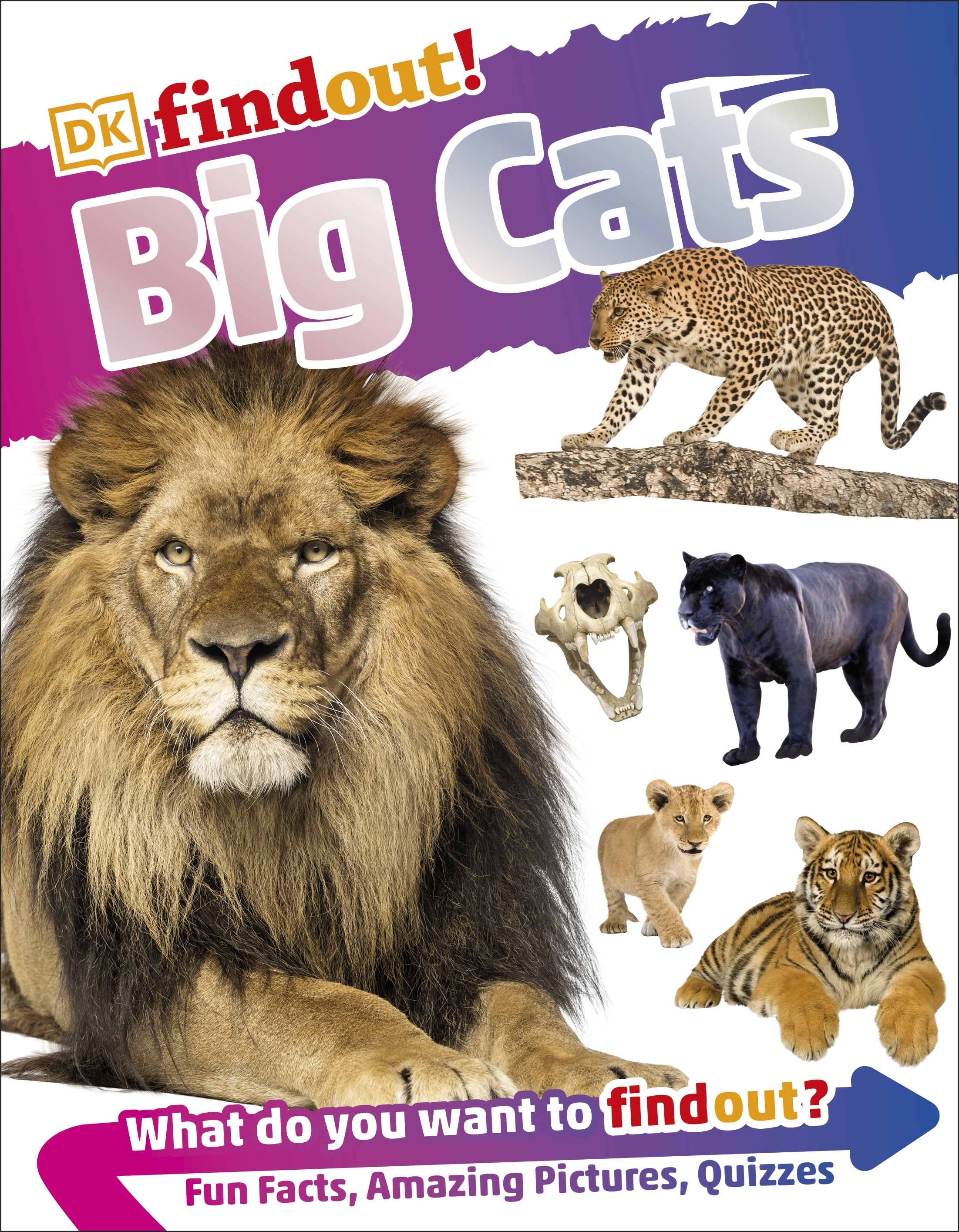 

Big Cats