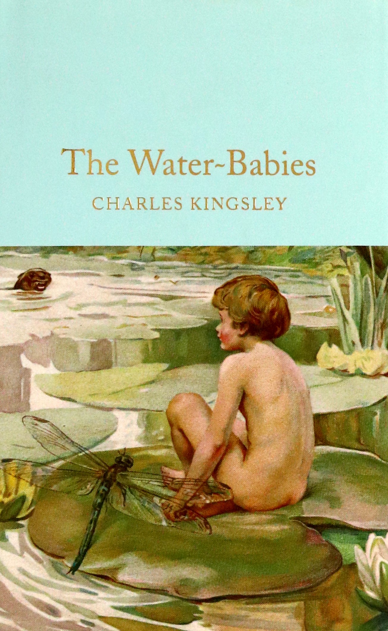 

The Water-Babies