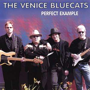 The Venice Bluecats: Perfect Example