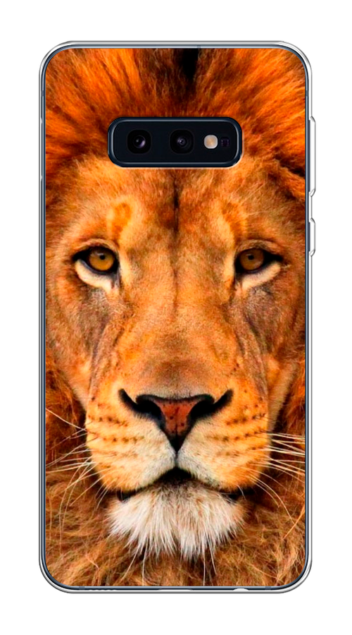 

Чехол на Samsung Galaxy S10E "Благородный лев", Оранжевый, 27250-1