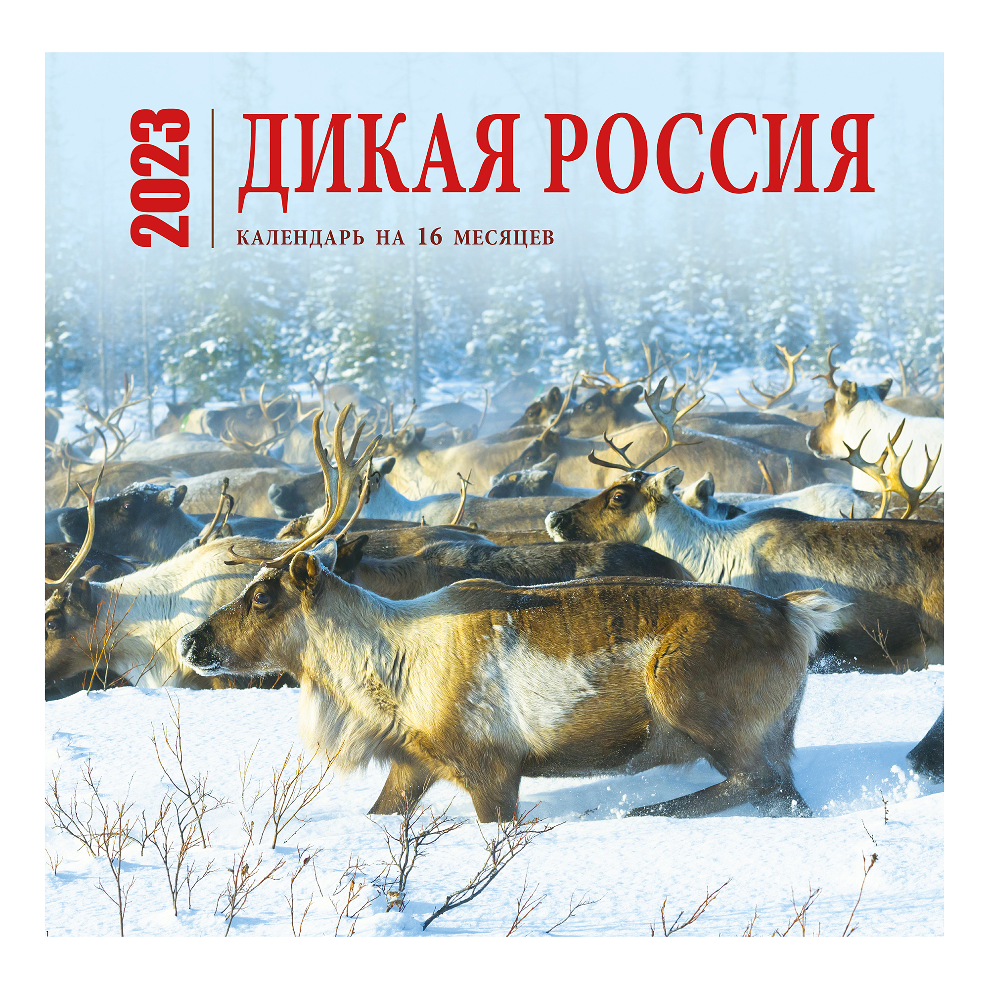 

Календарь настенный перекидной Дикая Россия на 16 месяцев 2023 год 300х300 мм