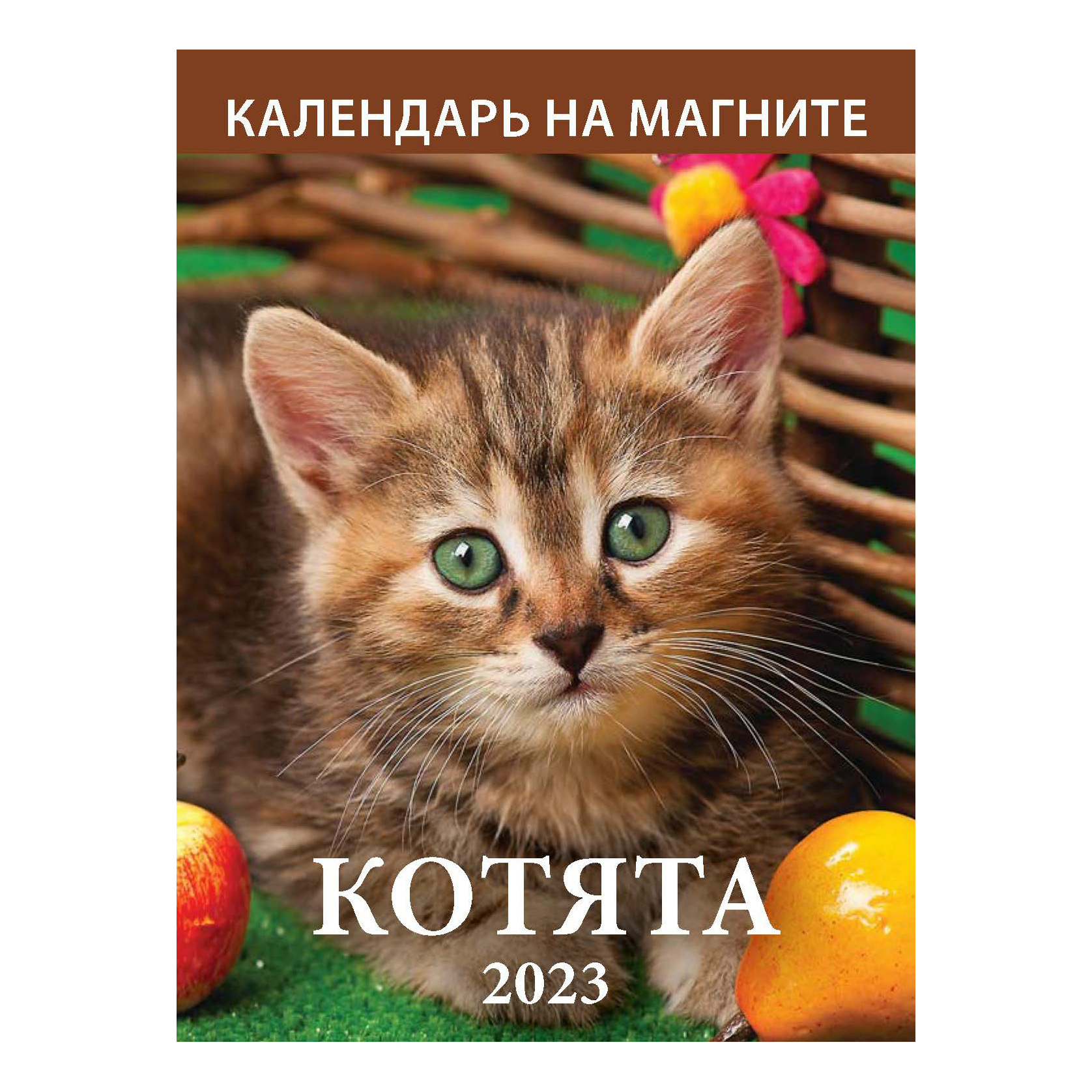 

Календарь настенный отрывной Котята на 2023 год на магните 96х135 мм