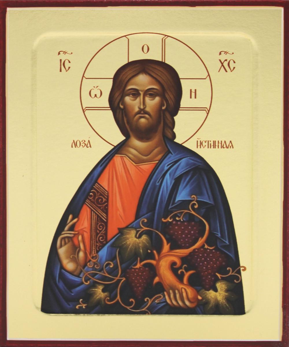 

Икона Спасителя Лоза Истинная (на дереве): 125 х 160