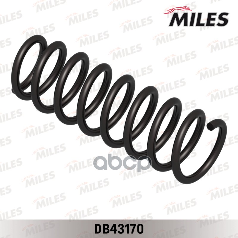 

Пружина Задняя Miles DB43170