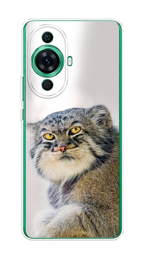

Чехол на Huawei Nova 11 Pro "Кот манул 1", Серый;белый;желтый, 6121350-1