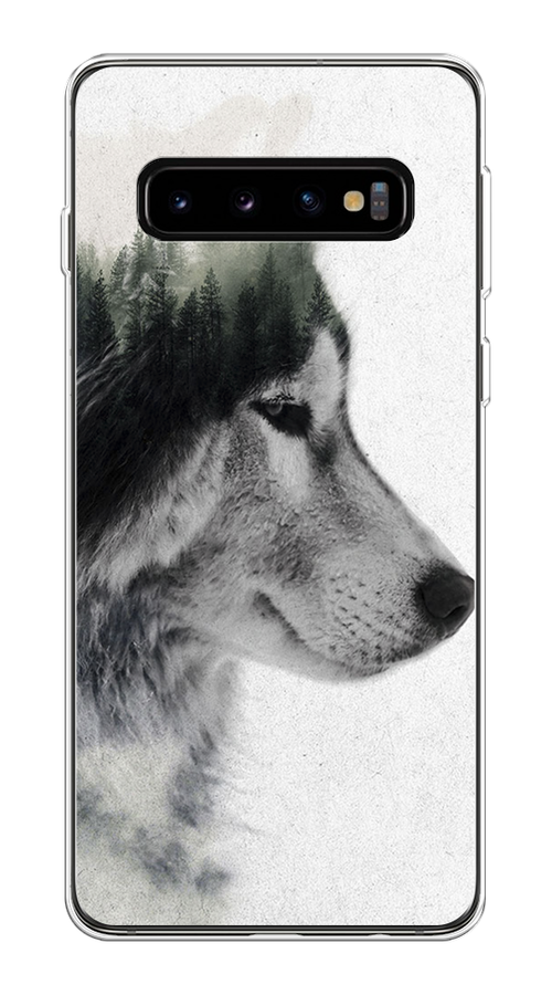 

Чехол на Samsung Galaxy S10 Plus "Волк лес", Серый;белый, 27150-1