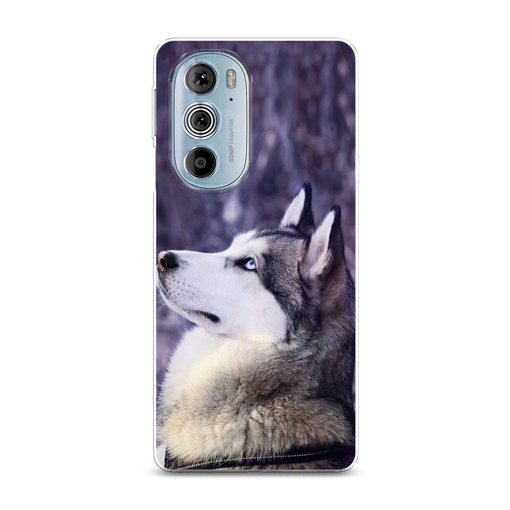 

Чехол на Motorola Edge 30 Pro "Хаски 1", Фиолетовый;белый, 243350-1