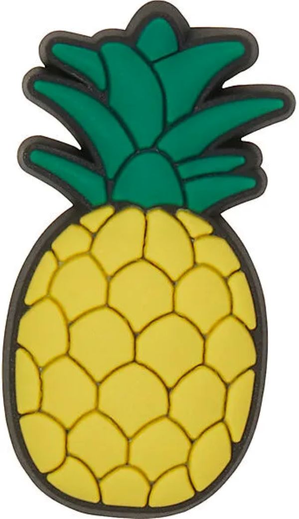 

Джибитсы Crocs Pineapple 10007217, 1 шт, Оранжевый, Pineapple