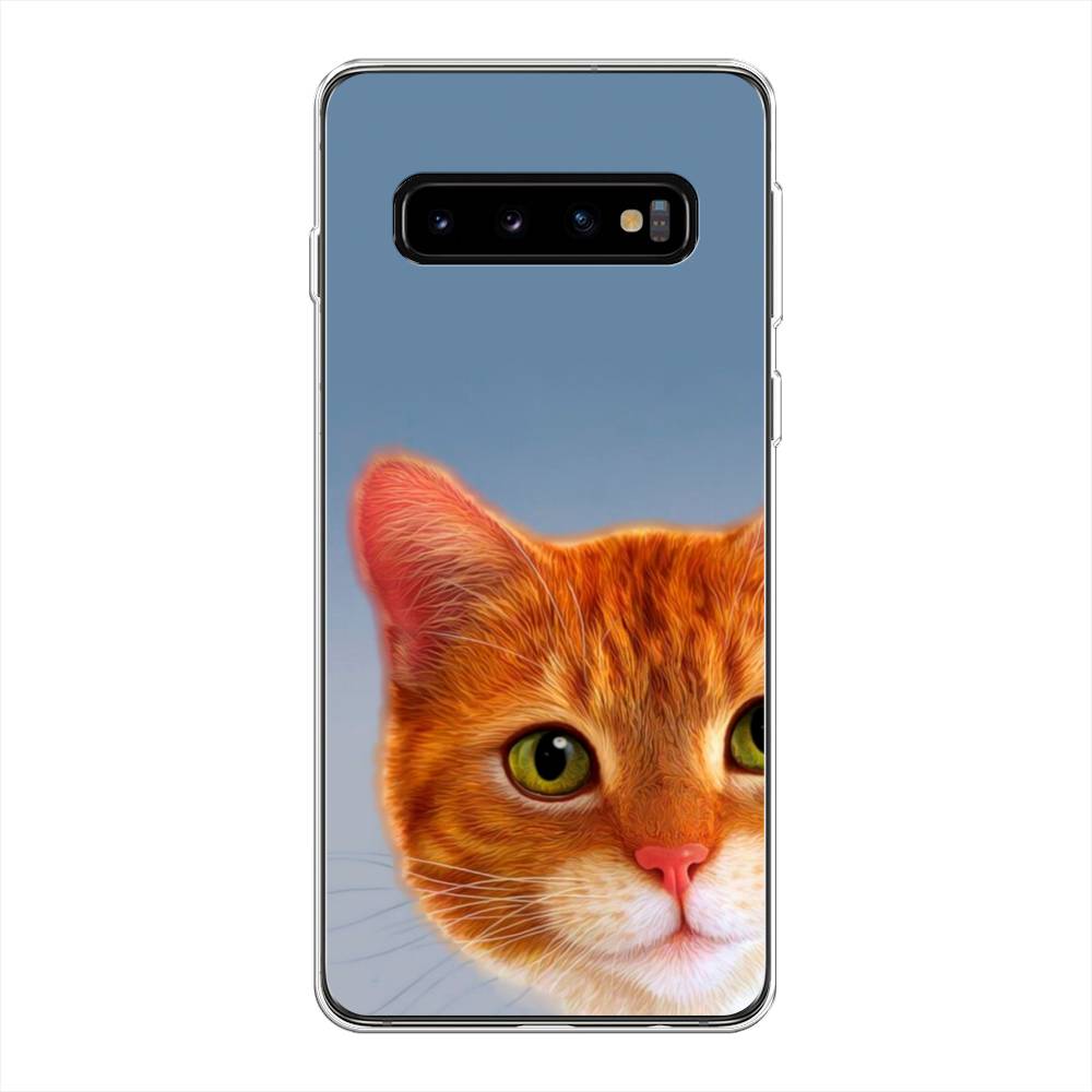 Чехол на Samsung Galaxy S10 Plus  