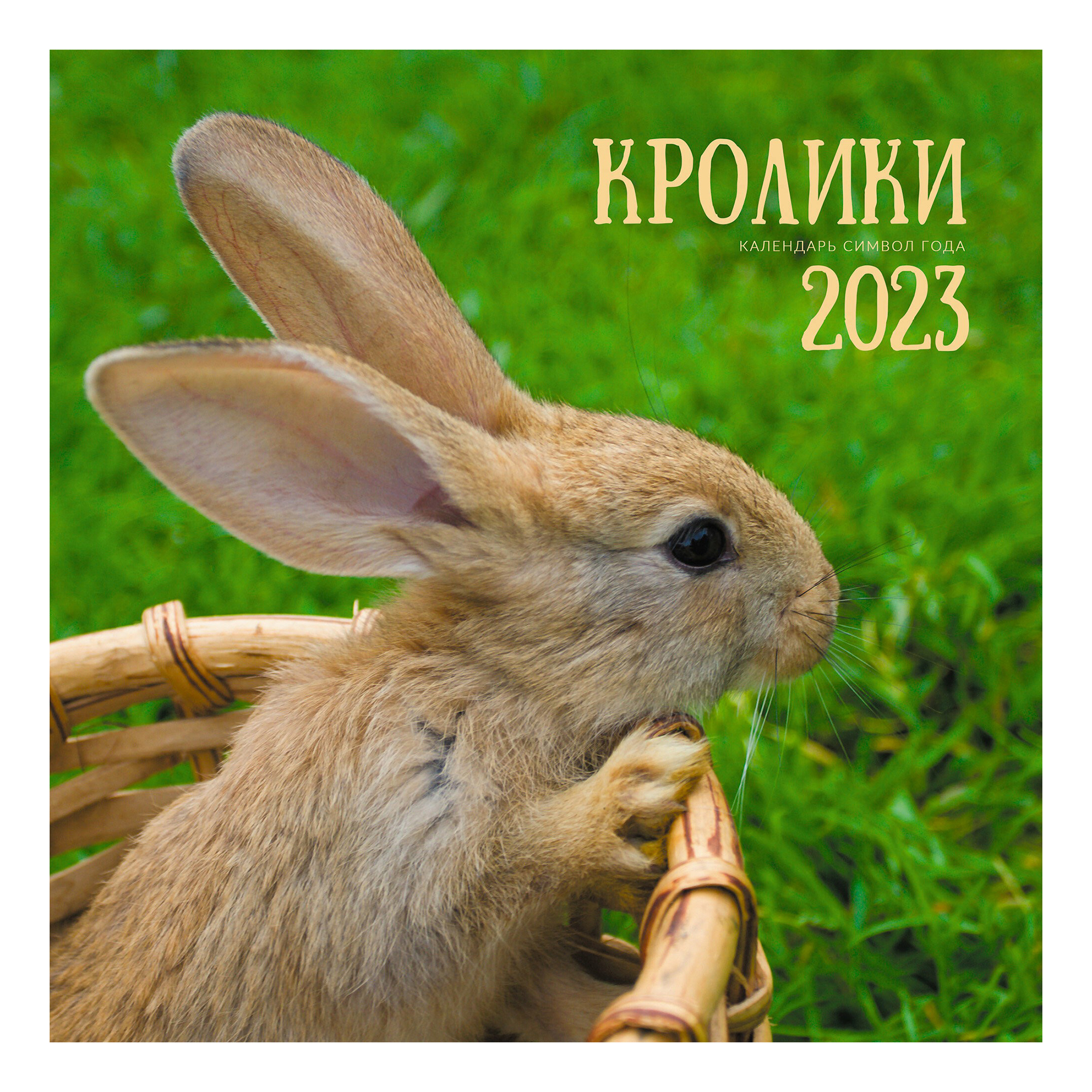 

Календарь настенный перекидной Символ года 2023 год на скобе 300 х 580 мм
