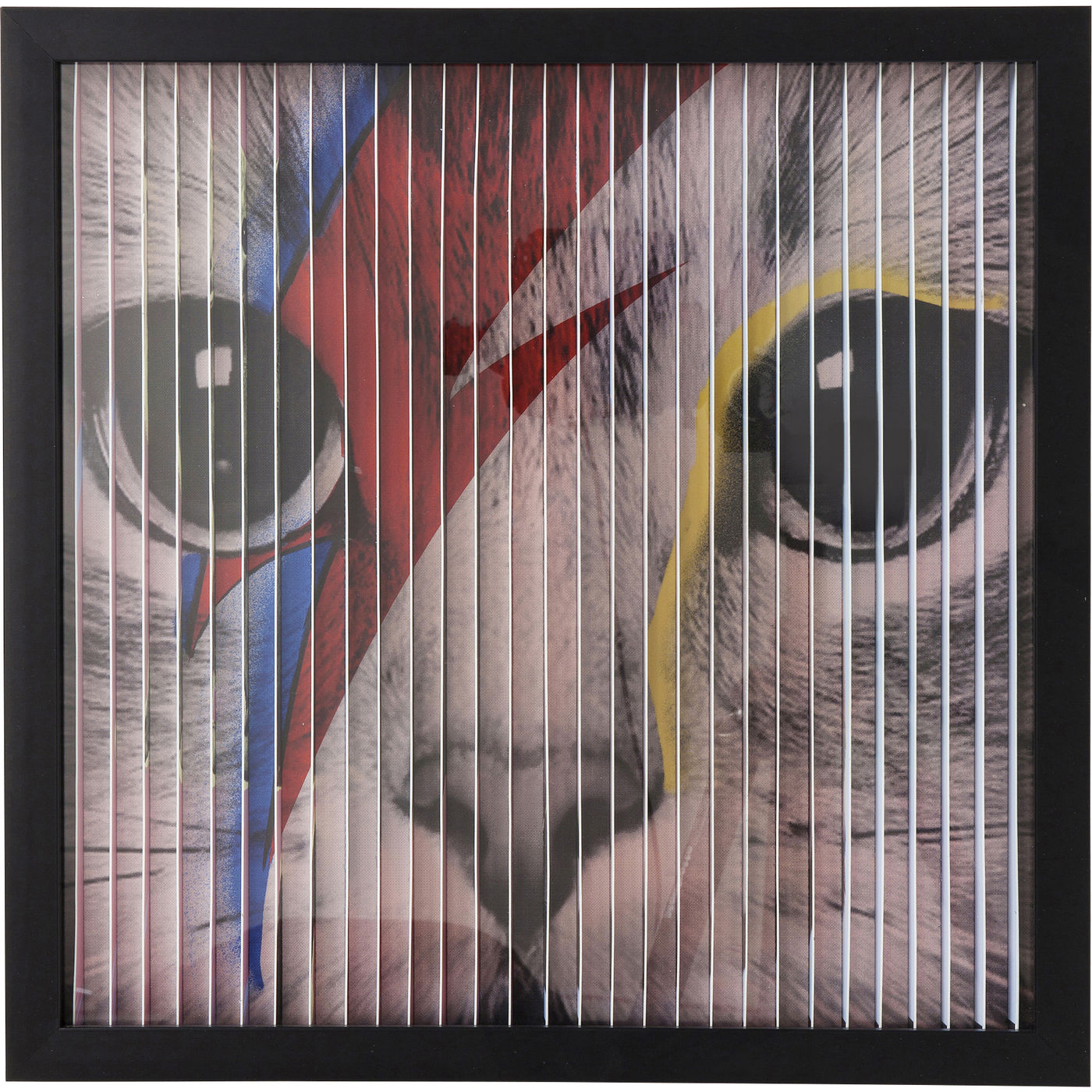 

Картина в рамке KARE Design, коллекция Cat, 43х43х4 см, Cat