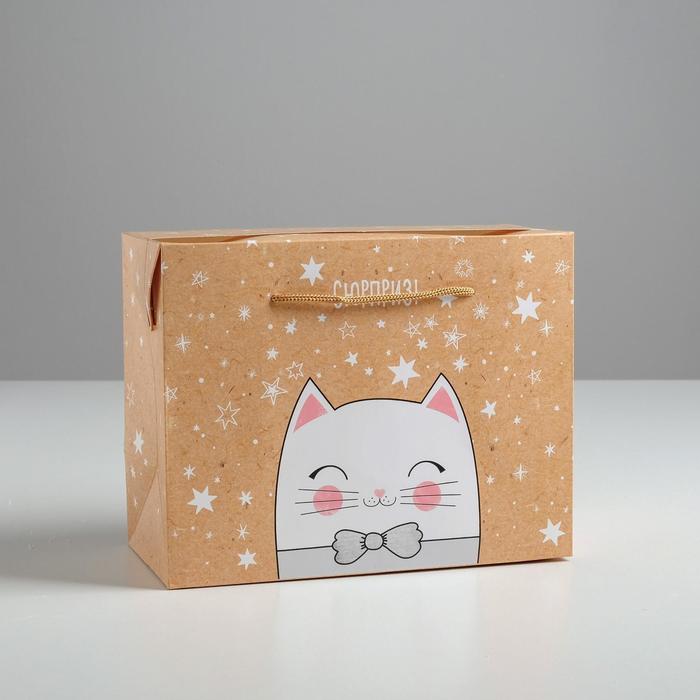 

Пакет—коробка Дарите Счастье Сюрприз! 23 х18 х11 см, Бежевый