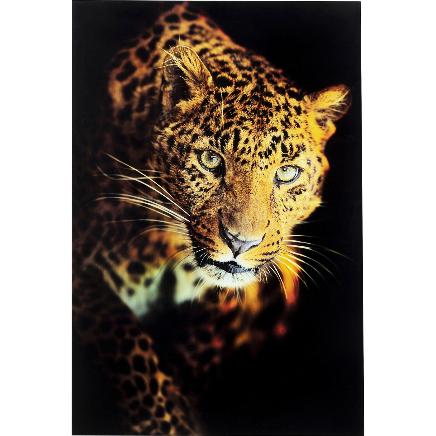 

Картина KARE Design, коллекция Leopard, 80х120х0 см, Leopard