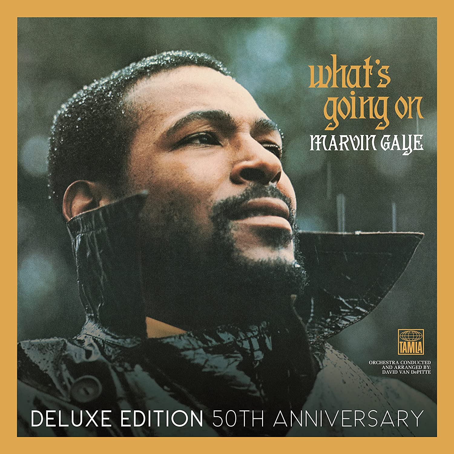 

Marvin Gaye Whats Going On (50Th Anniversary) (2Винил)