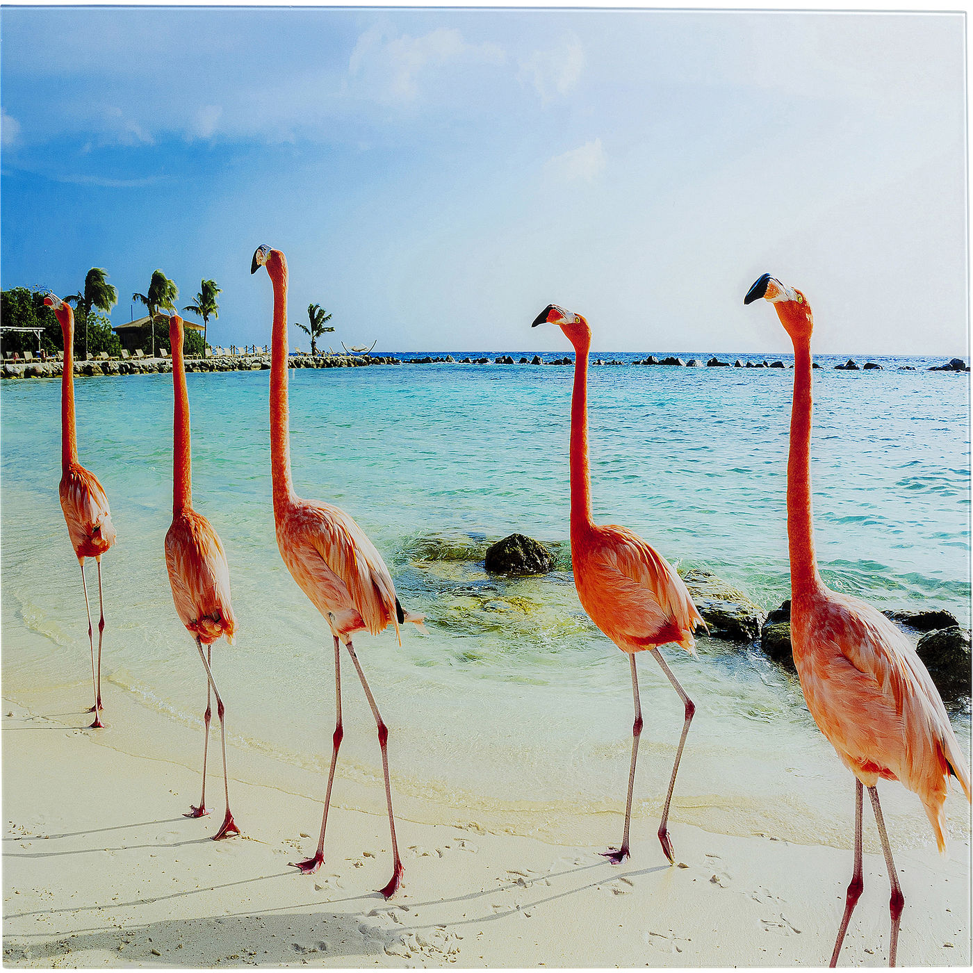 

Картина KARE Design коллекция Flamingo 80х80х0 см, Flamingo