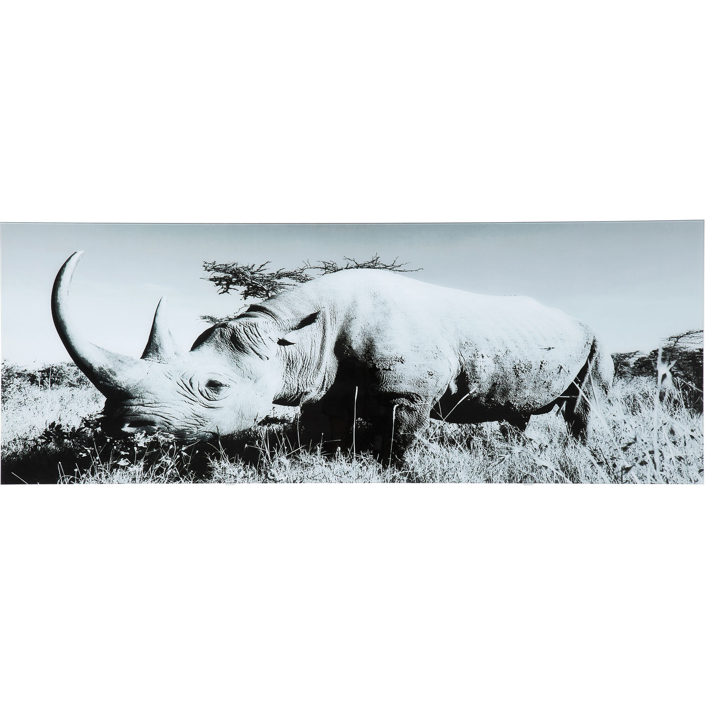 

Картина KARE Design коллекция Rhino 160х60х4 см, Rhino
