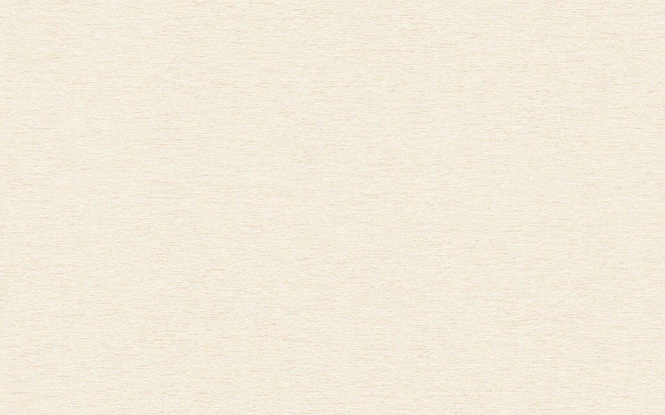 

Столешница КЕДР 3050х600х26 мм 685/1 Платина