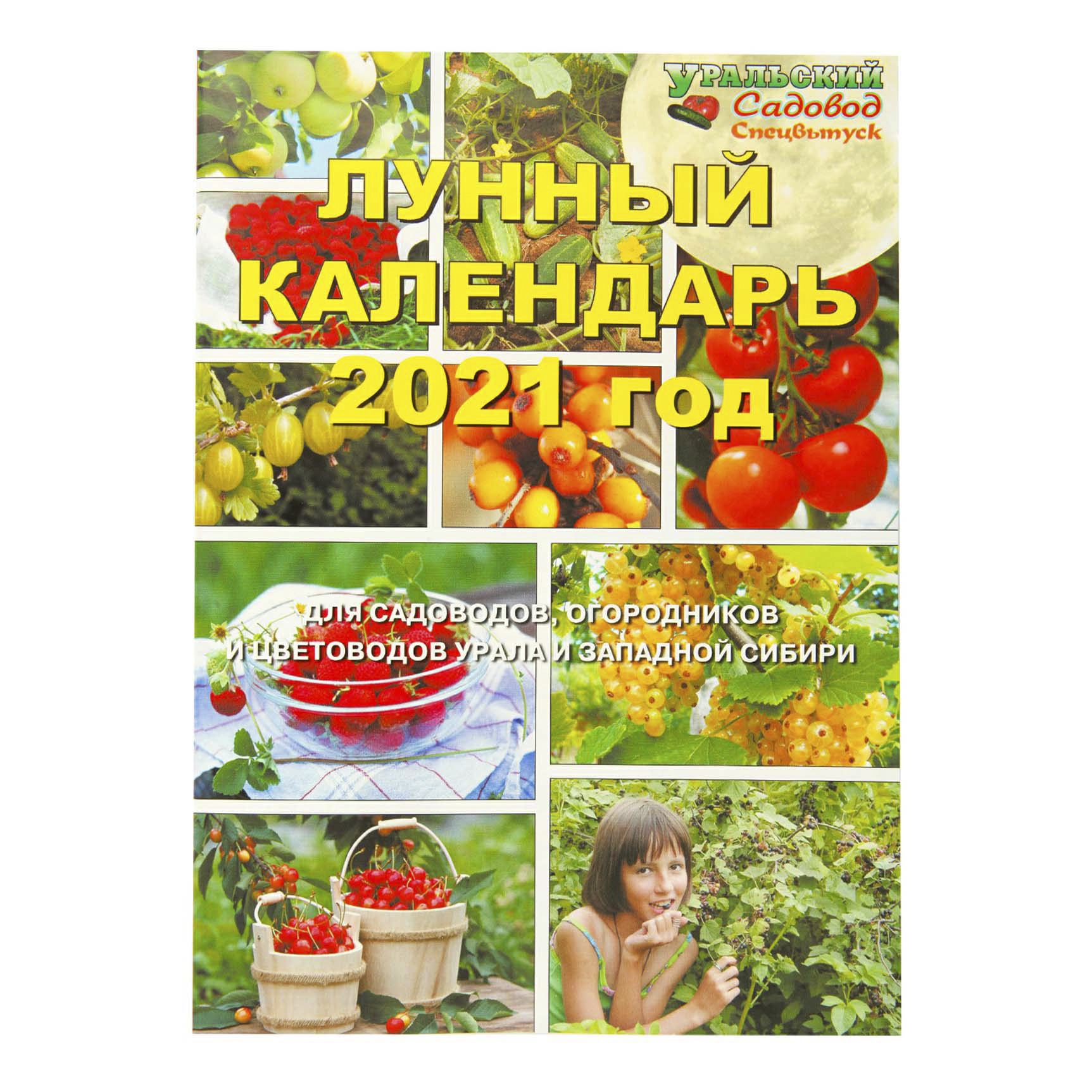 

Такие разные животные Ковалева Е.
