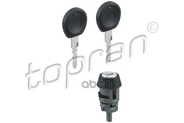 

Вставка Замка Зажигания (Замена Для Hp-103112755) topran арт. 103112001