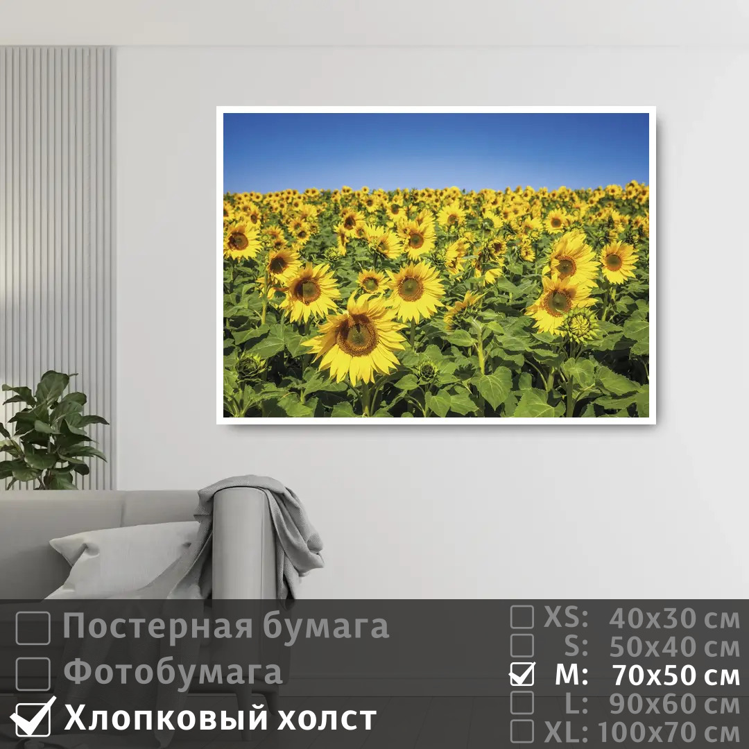 

Постер на холсте ПолиЦентр Подсолнечное поле 70х50 см, ПодсолнечноеПоле