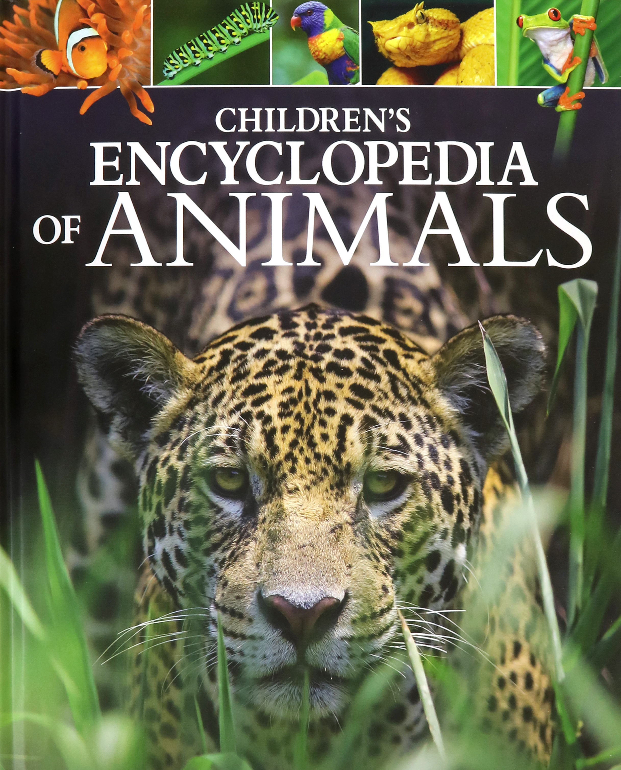 

Children's Encyclopedia of Animals