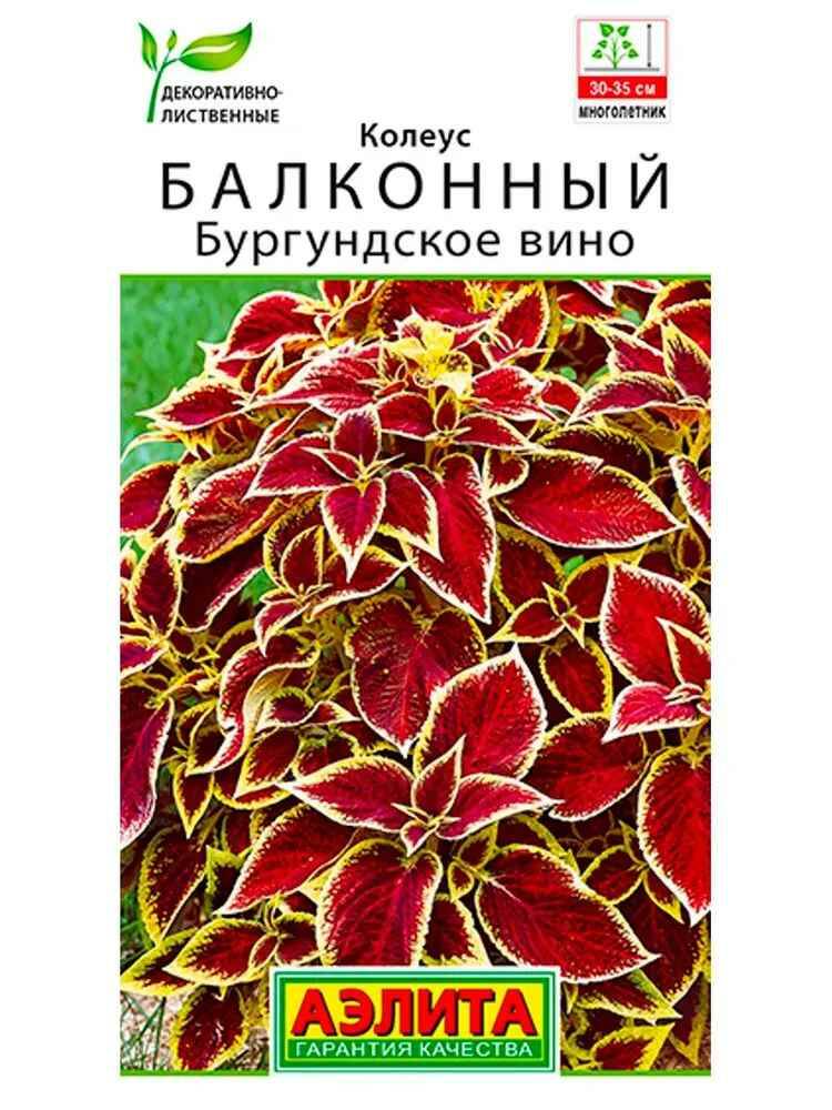 

Семена колеус бургундское вино Аэлита 21555 1 уп.