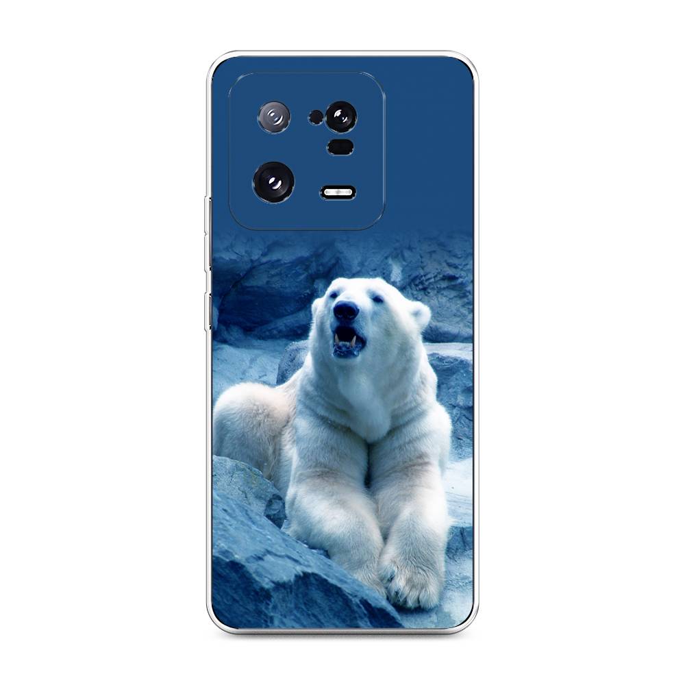 

Чехол на Xiaomi 13 Pro 5G "Белый медведь", Голубой;белый, 317350-1