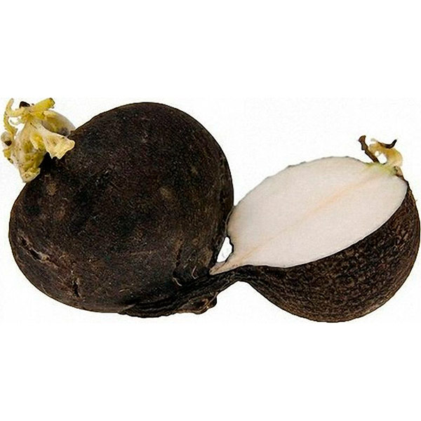 

Редька черная 2 шт