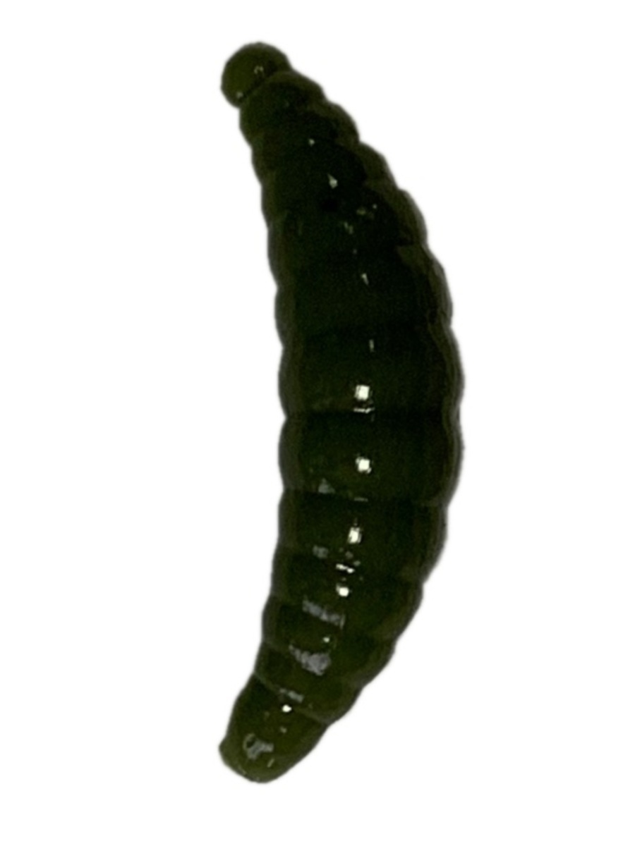 

Силиконовая приманка TROUT BAIT в банке, MAGGOT 40, СЫР, COL. 52 (Pellets), Разноцветный