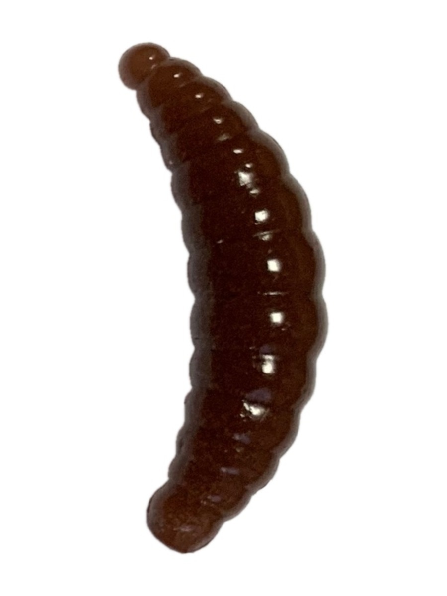 

Силиконовая приманка TROUT BAIT в банке, MAGGOT 30, СЫР, COL. 51 (Brown), Разноцветный