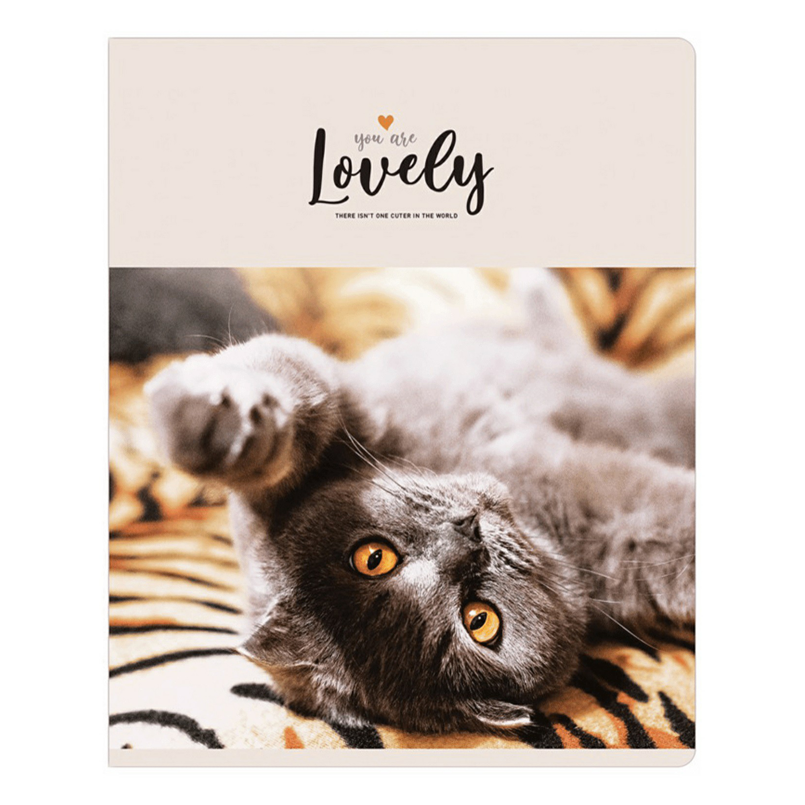 

Тетрадь общая ArtSpace Lovely Cat 48 листов А5 на скобе в клетку в ассортименте