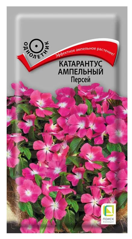 

Катарантус ампельный Персей 10 шт ПОИСК