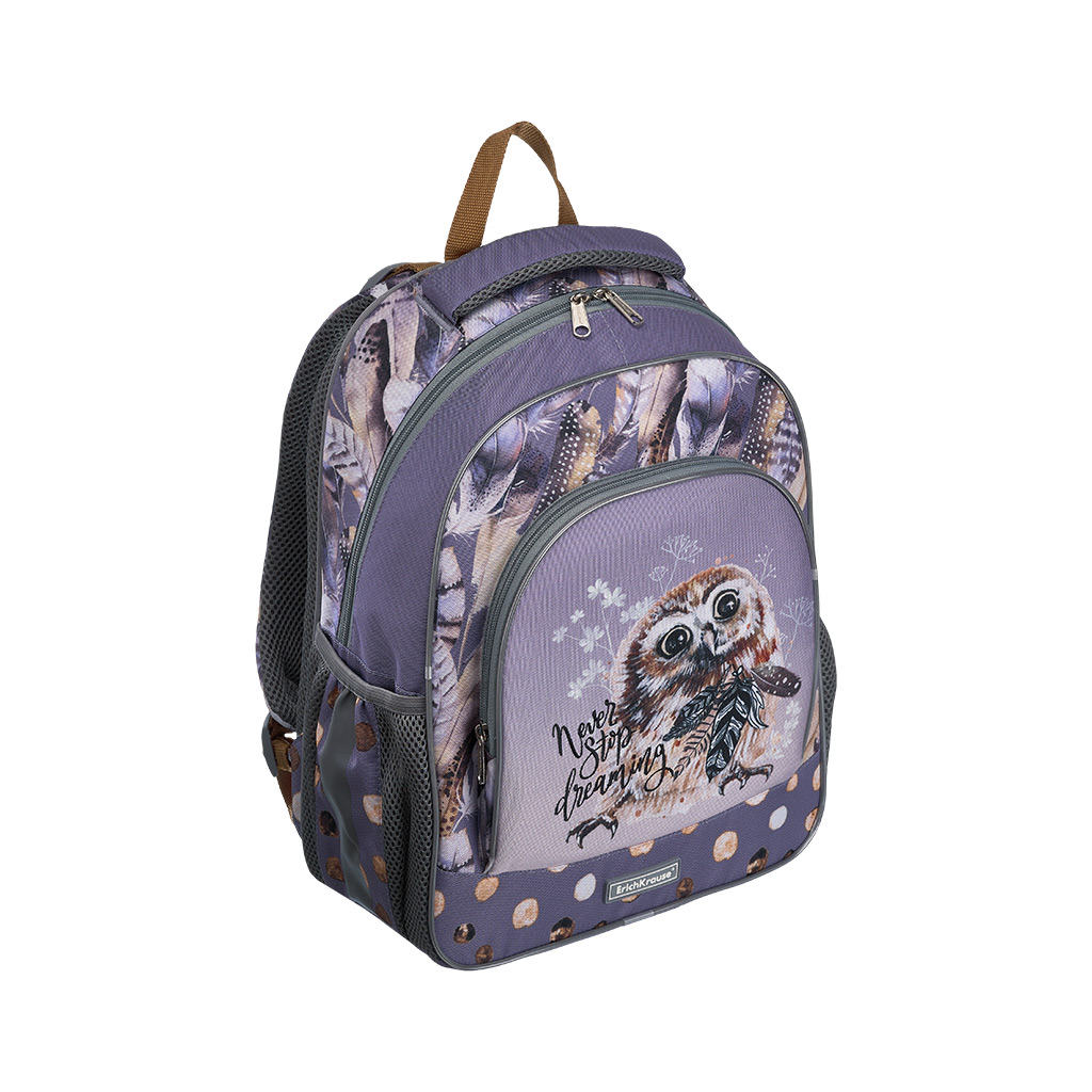 Ученический рюкзак ErichKrause ErgoLine 15L Dreamy Owl