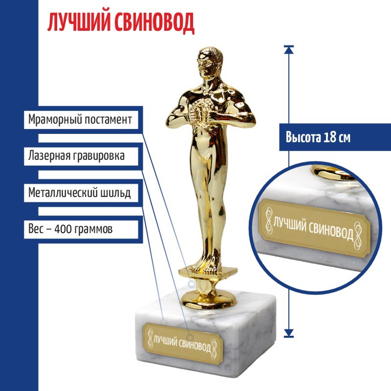 

Статуэтка Лучший свиновод 18 см 34141, Золотистый, d108GSF10056-luchy-svinovod