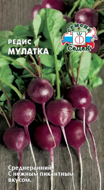 

Семена редис СеДеК Мулатка 1 уп.