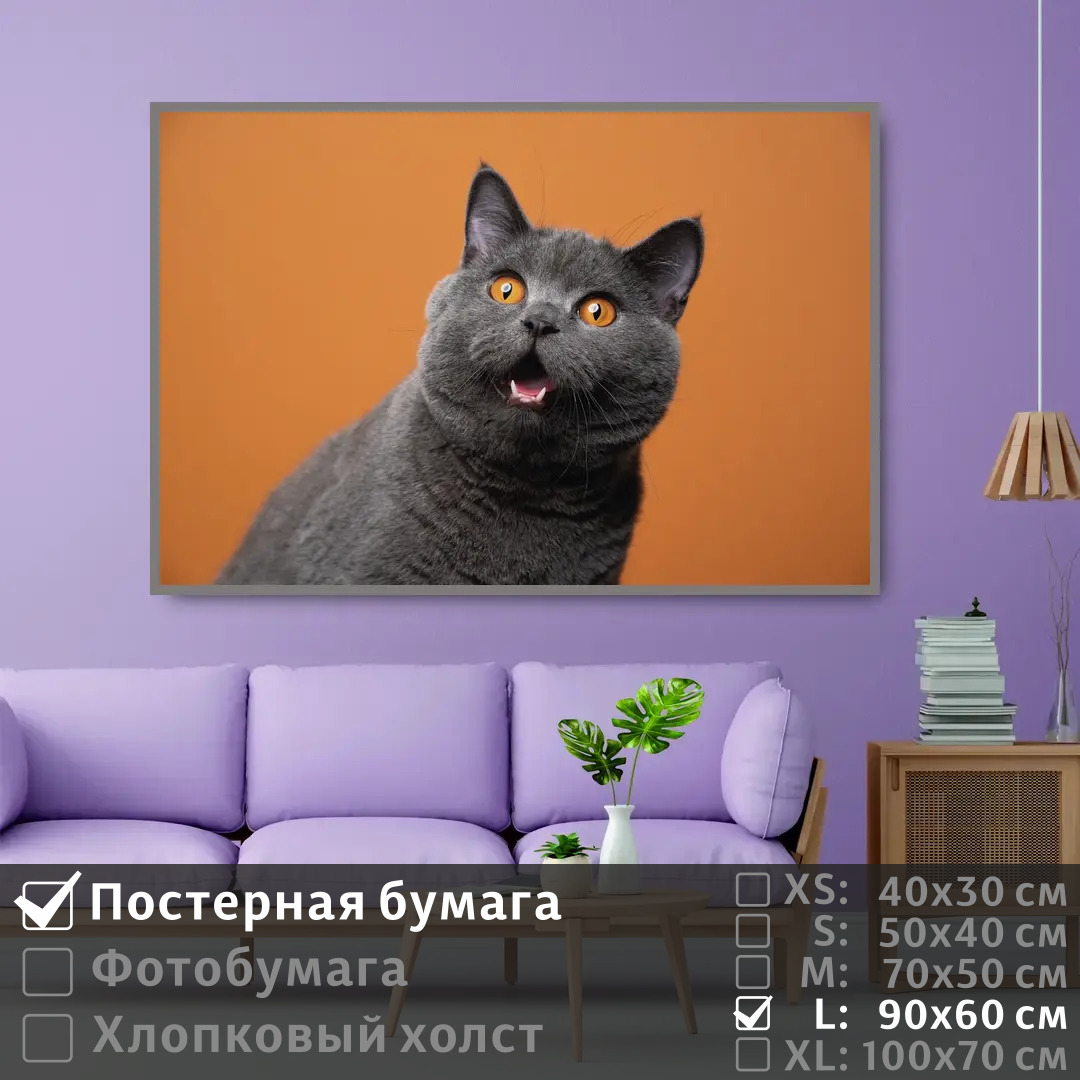 

Постер на стену ПолиЦентр Серый британский кот 90х60 см, СерыйБританскийКот