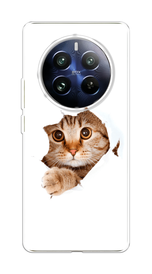 

Чехол на Realme 12 Pro "Кот и бумага", Белый;коричневый, 2516150-1