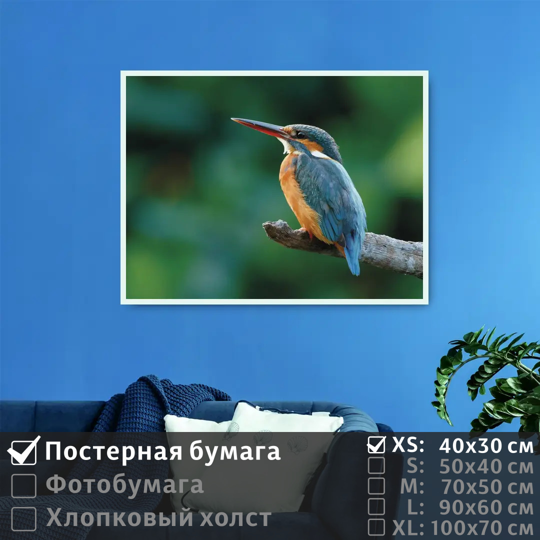 

Постер на стену ПолиЦентр Птичка на ветке 40х30 см, ПтичкаНаВетке