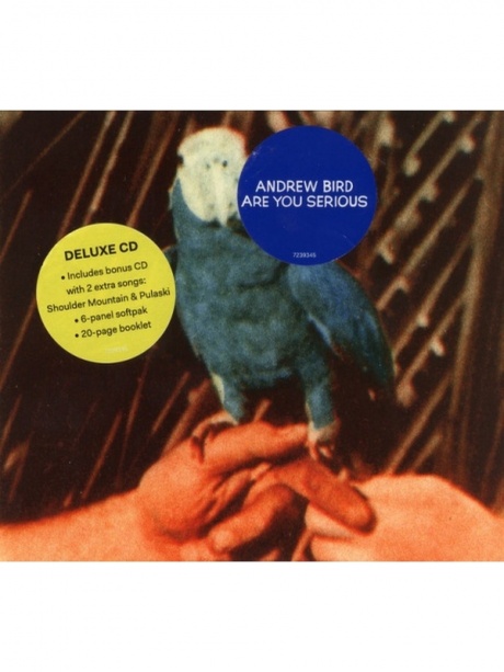 фото Andrew bird - are you serious медиа