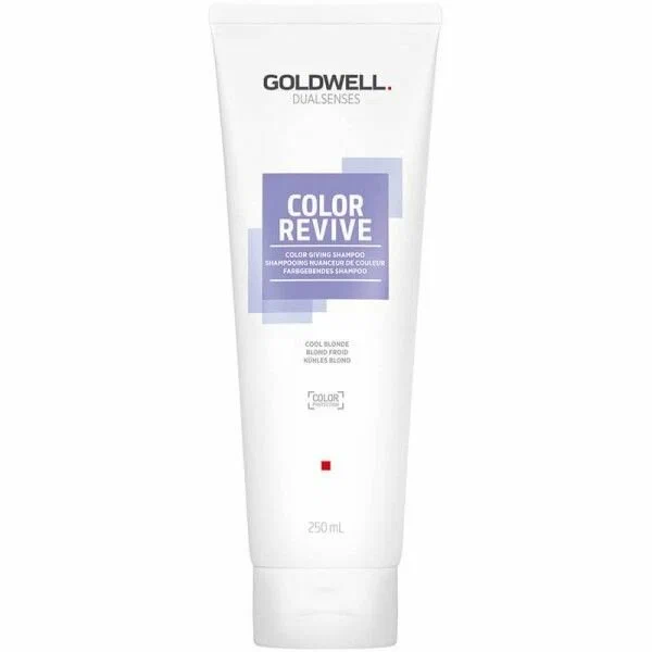 Шампунь Goldwell Dualsenses Color Revive 250 мл