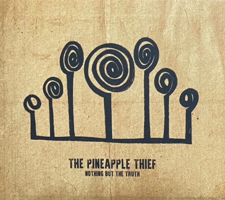 

THE PINEAPPLE THIEF - Nothing But The Truth (cd)