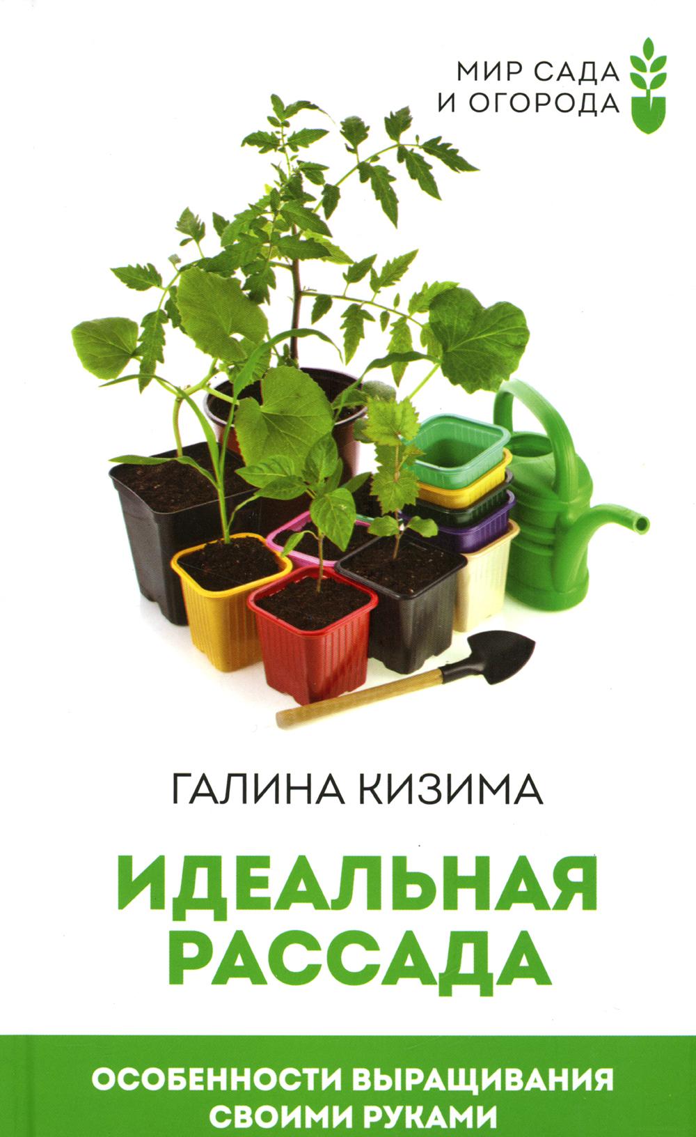 

Идеальная рассада. Особенности выращивания своими руками