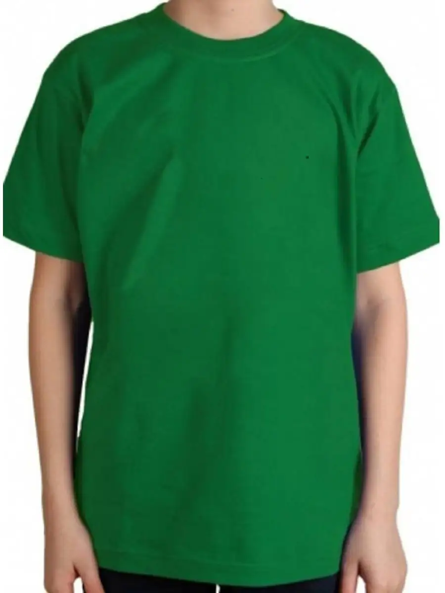 

Футболка мужская Традиции Фбр/Фбр зеленая 4XL/188, Зеленый, Фбр/Фбр