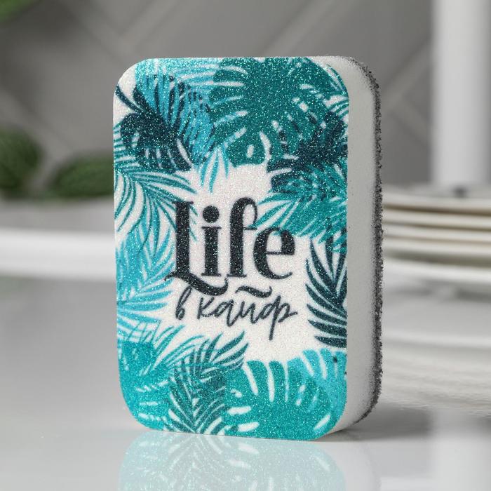 

Губка поролоновая «Life в кайф» 9х6 см, Разноцветный
