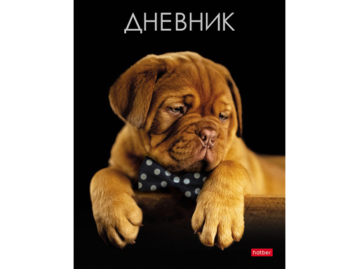 

Дневник для 1-11кл. 40л Hatber "Щенок с бантиком"