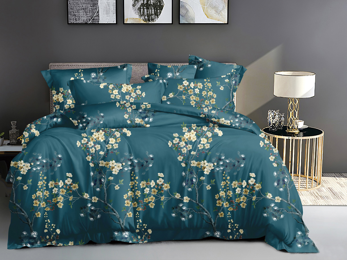 

Постельное белье Cleo Art Color, 4 наволочки 70х70 и 50х70, Cleo Art Color