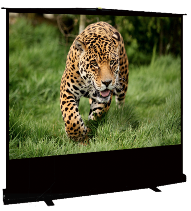 

Экран для проектора S’ok SCPSF-163x92 (мобильный, 16:9, 75"), Черный, SCPSF-163x92